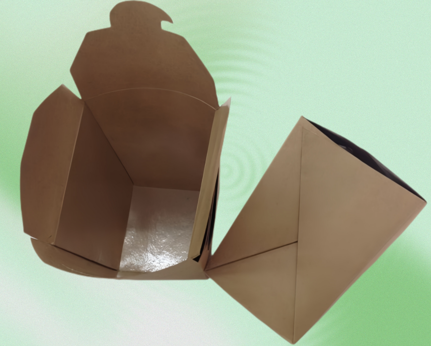 Express Delivery Noodle Boxes